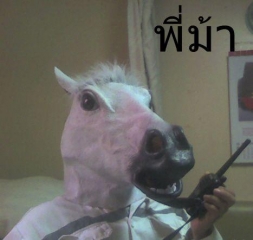 mistrerhorse